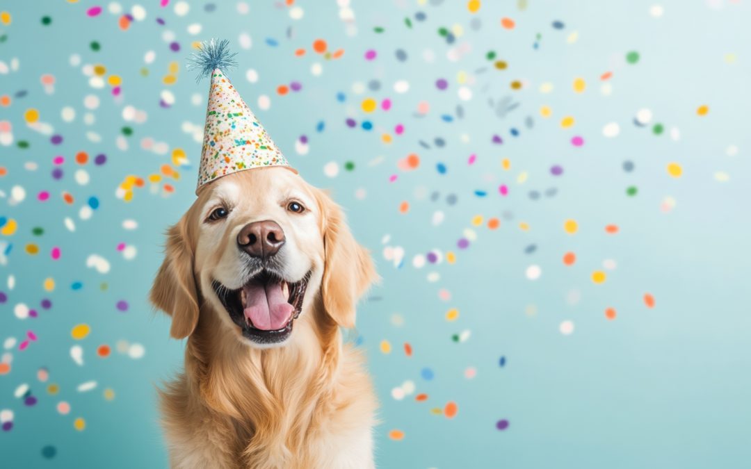 We are now an Employee Owned Trust